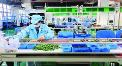 但这里一切都：出产车间忙而有序